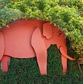 Pachyderm Sign